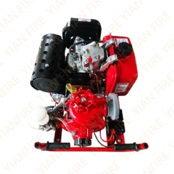 Portable diesel engine fire pump BJ10B